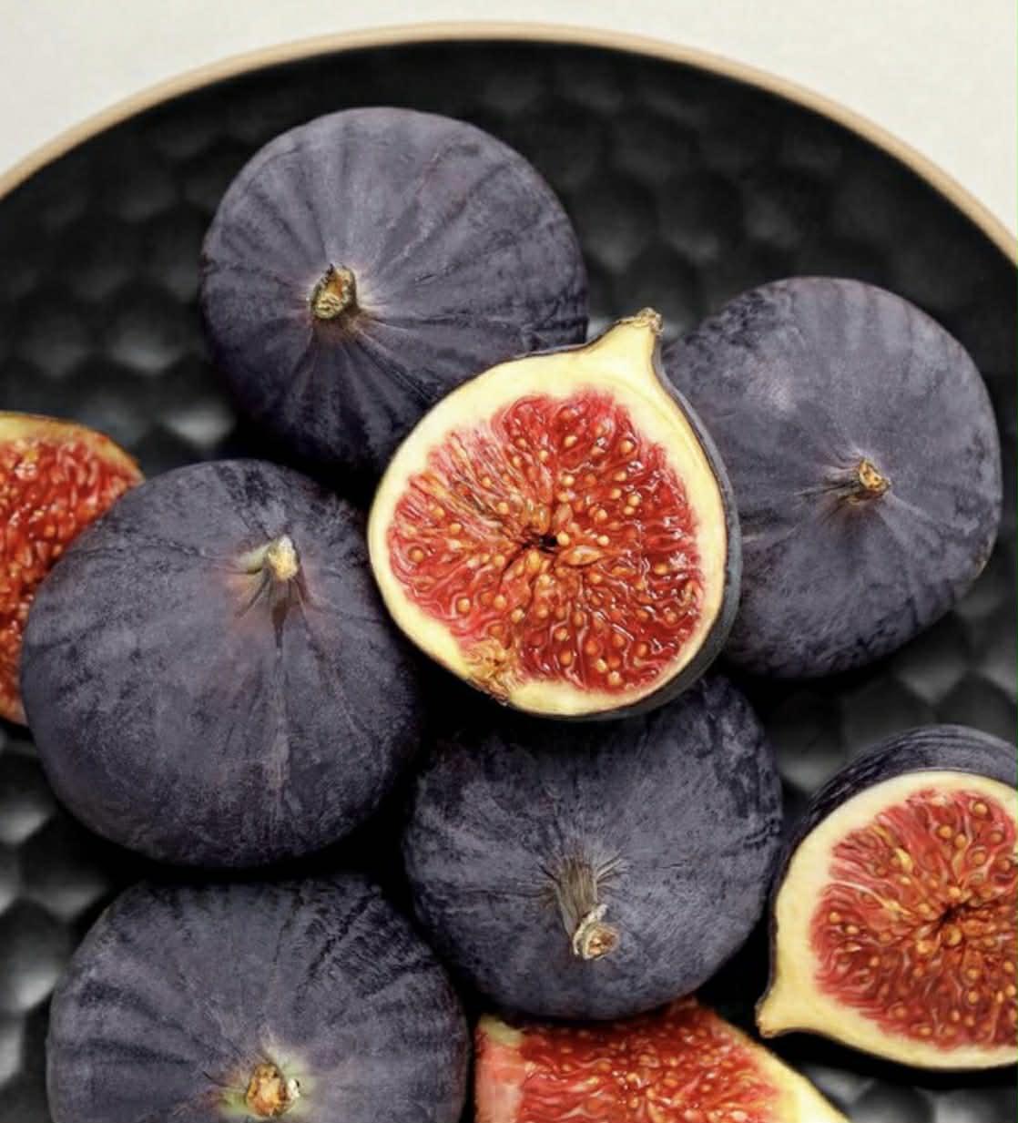 Dwarf Sweet Temptation Fig