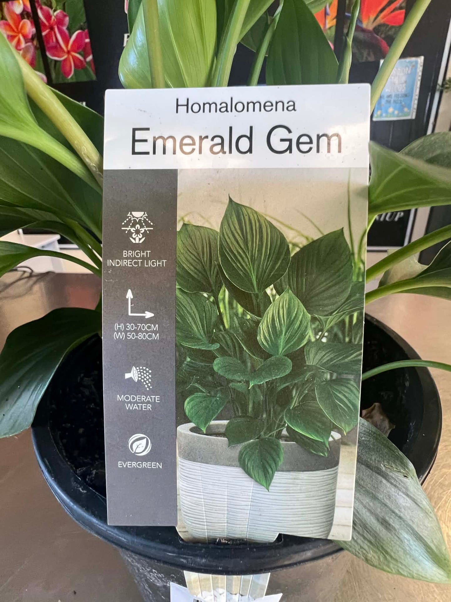 Emerald Gem