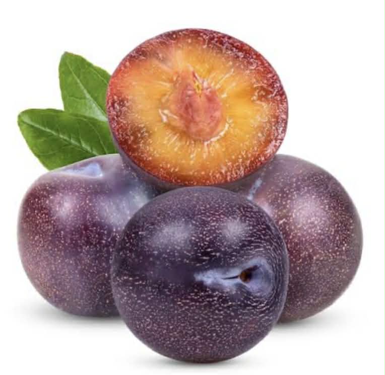 Plum Santa Rosa Variety