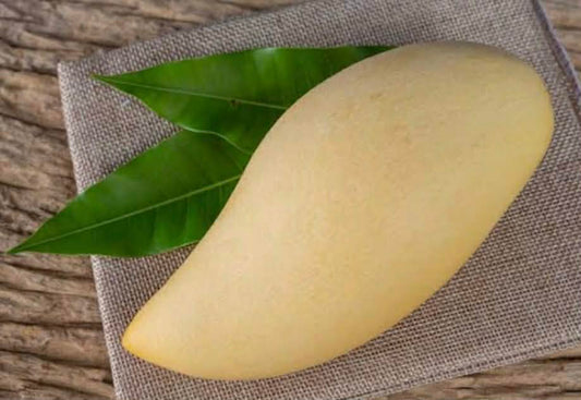 Mango Nam Doc Mai Variety