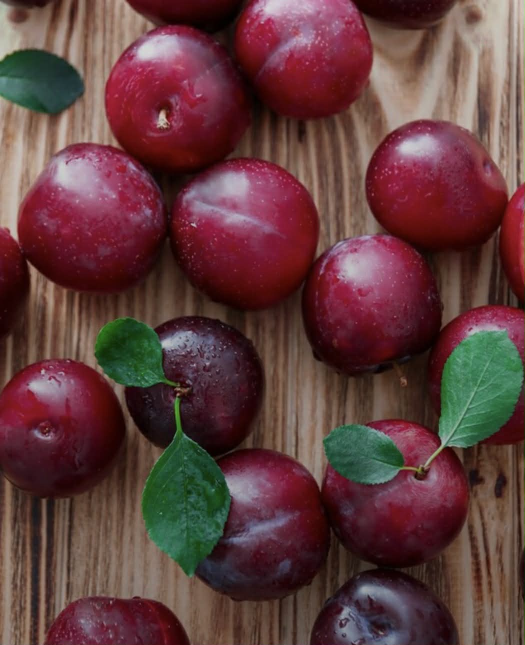 Plum Santa Rosa Variety