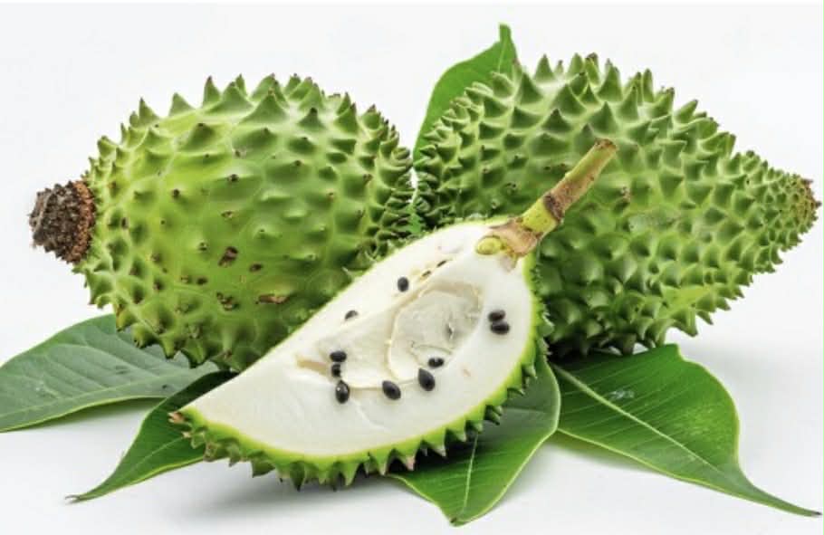 Sour Sop