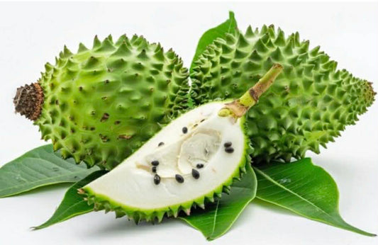 Sour Sop