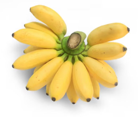 Banana Lady Finger Variety