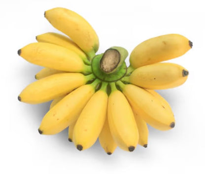 Banana Lady Finger Variety