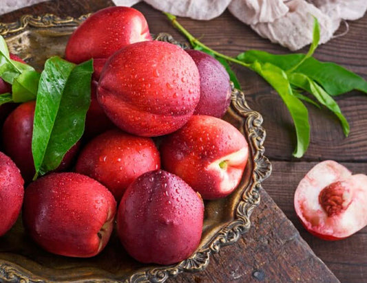 Angel Peach (Flat Peach)