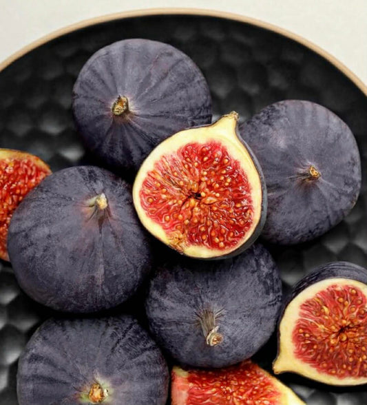 Dwarf Sweet Temptation Fig