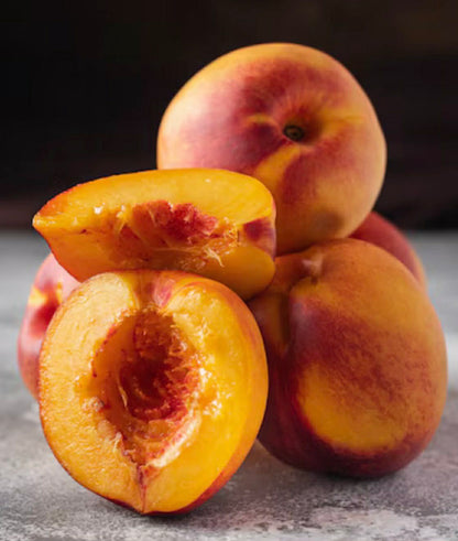 fantasia Nectarine
