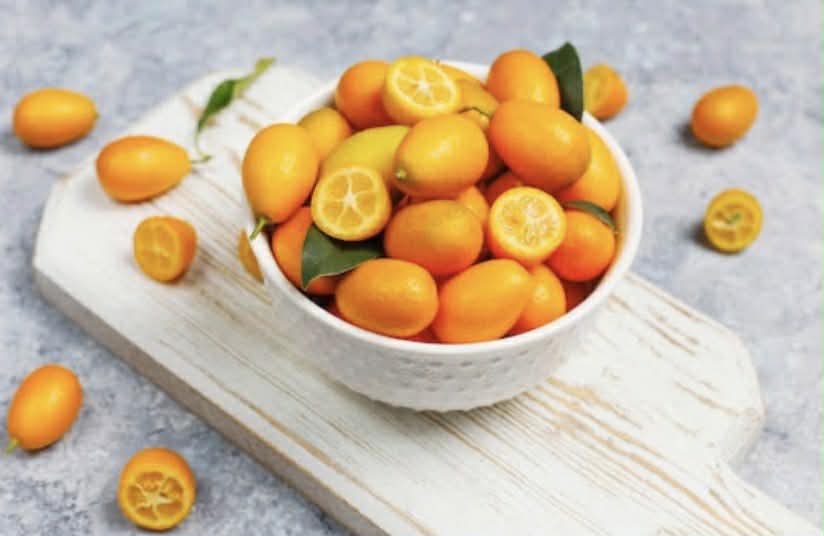 Kumquat Nagami Variety