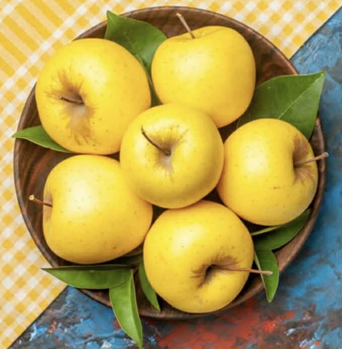 Apple Dorset Gold Variety