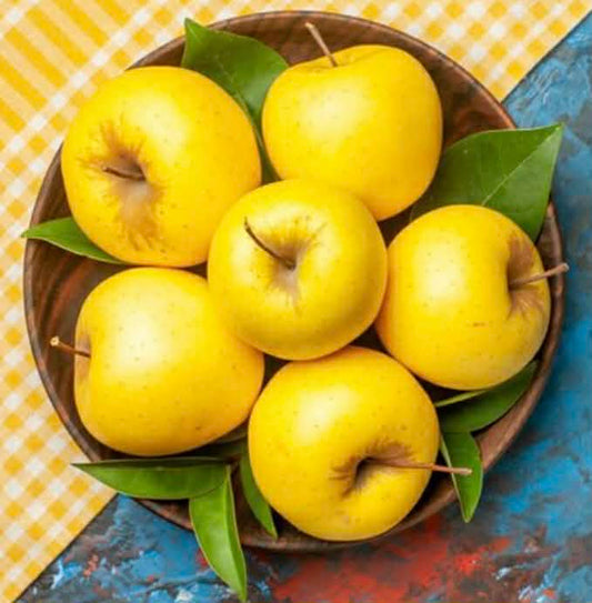 Apple Dorset Gold Variety