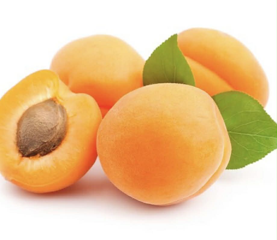 Trevatt Apricot