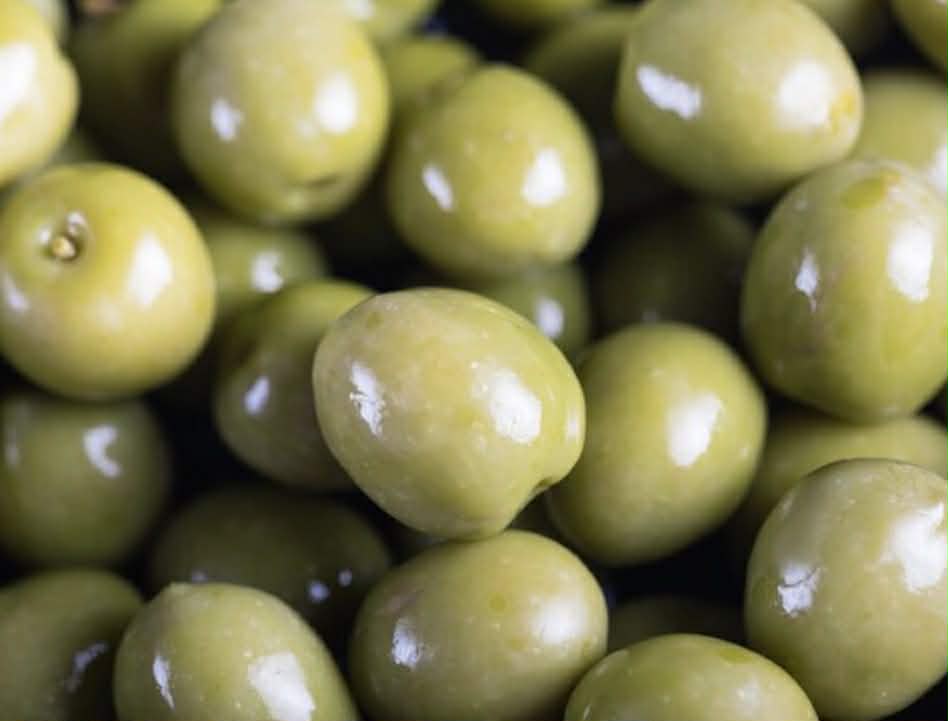 Olive California Queen Variety