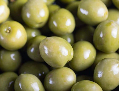 Olive California Queen Variety