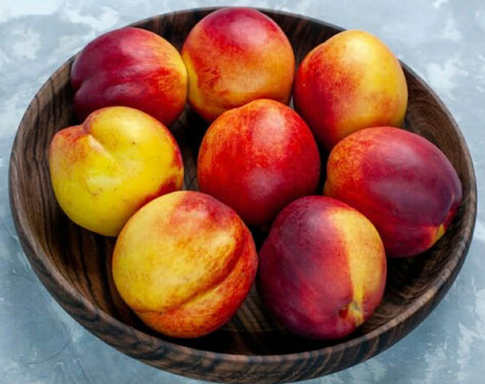 Tropic Sensation Nectarina