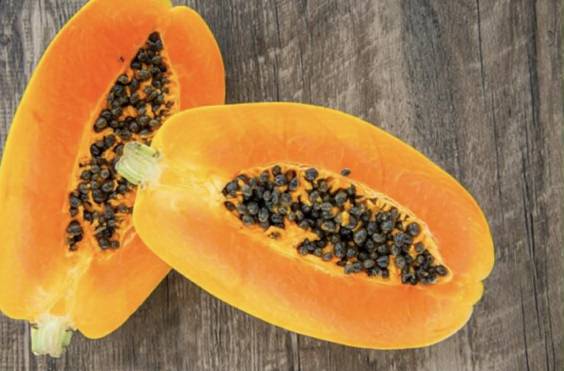 Bisexual Gold Paw Paw