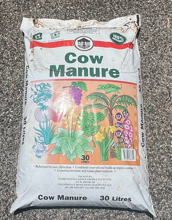 Cow Manure – Anything And Everything Plants