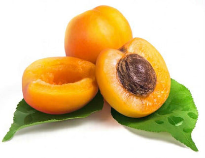 Storey Apricot