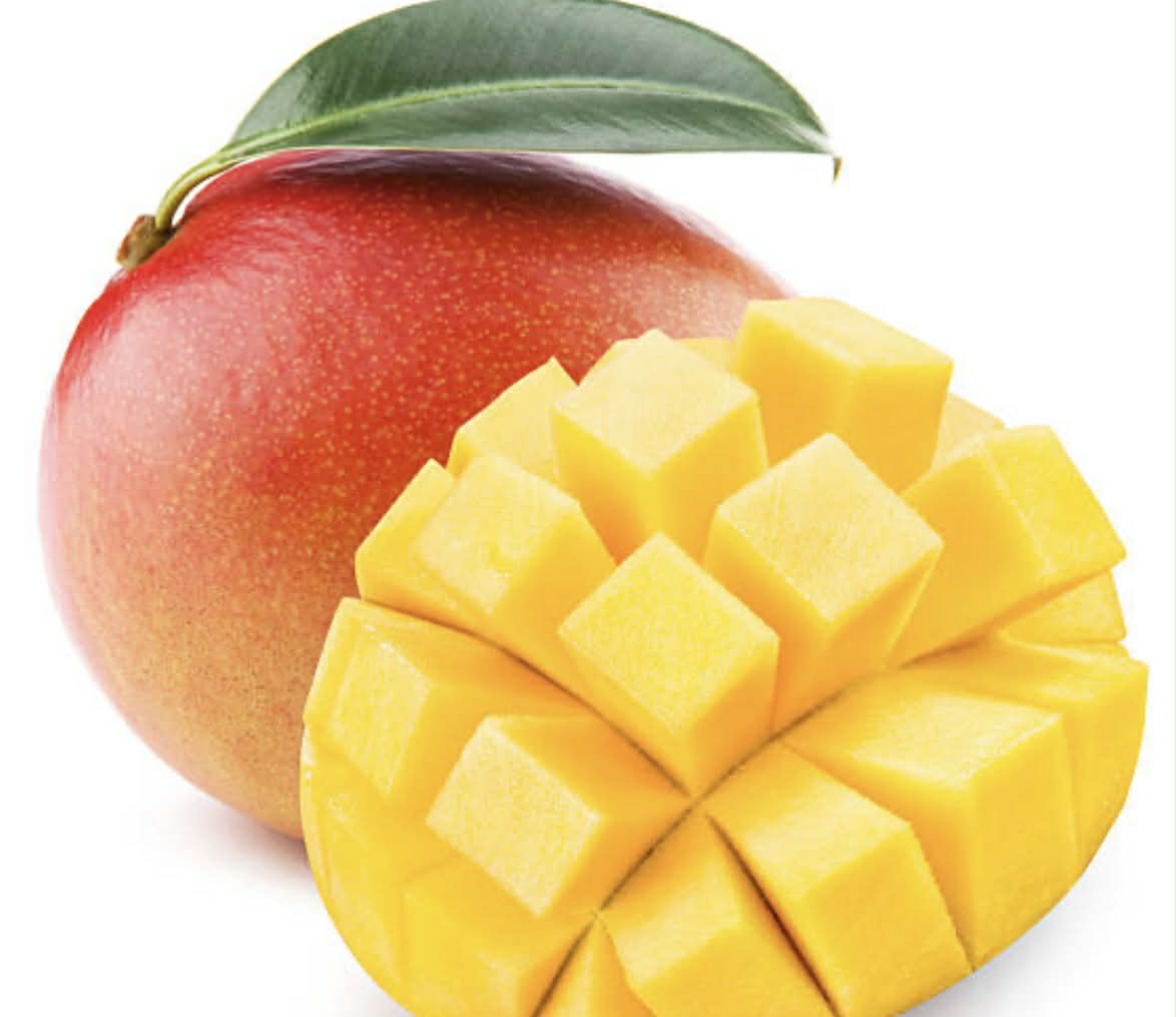 Mango Kensington Variety
