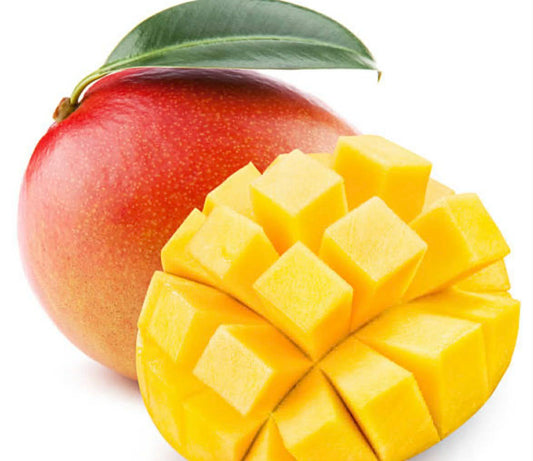 Mango Kensington Variety