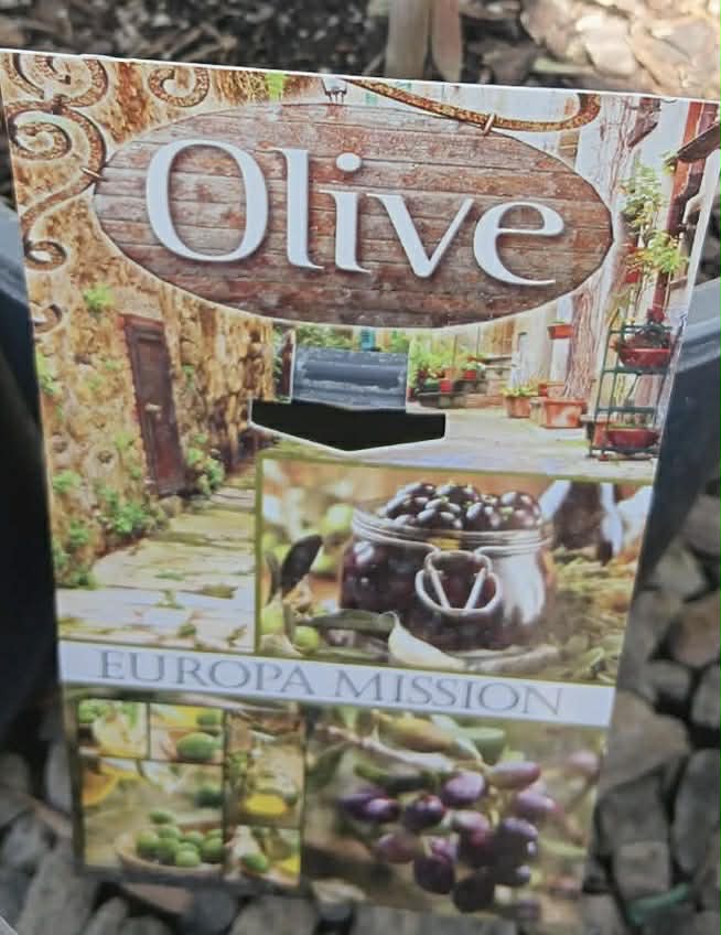 Olive Europa Mission Variety