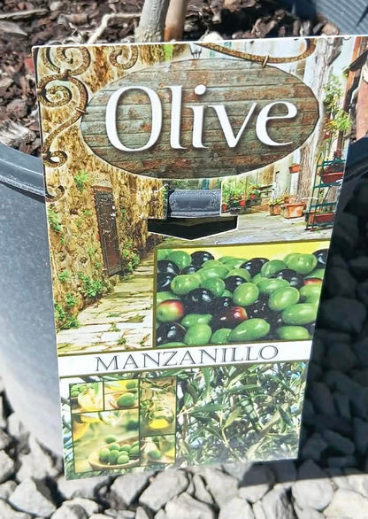 Olive Manzanillo