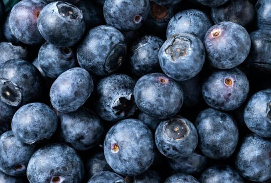 Blueberry Sunshine Blue Variety