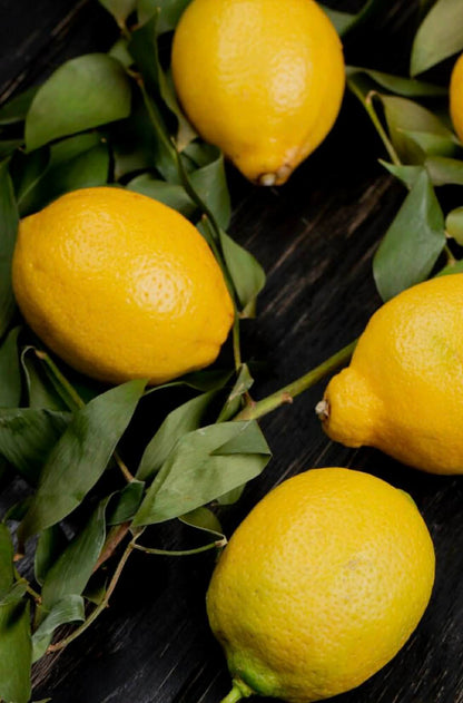 Lemon Seedless Eureka (Lemon Heaven)