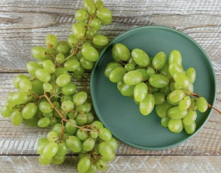 Grape Vine Sultana Variety