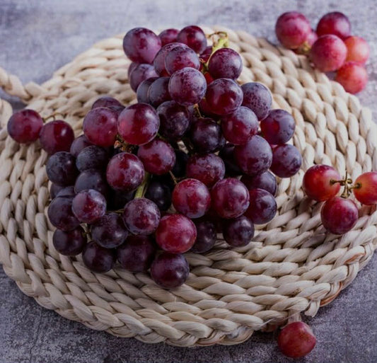 Grape Vine Red Globe Variety