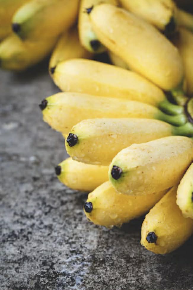 Dwarf Banana Musa Ducasse Variety