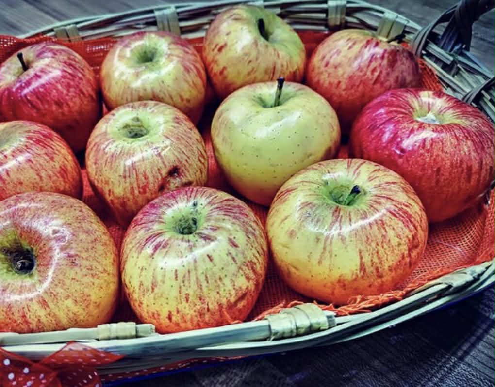 Apple Gala Variety