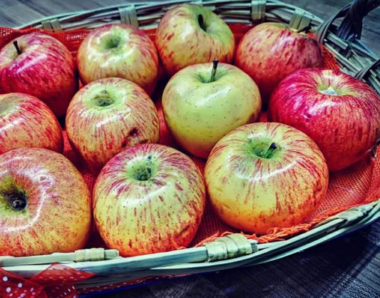 Apple Gala Variety