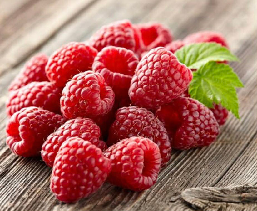 Red Raspberry – Anything And Everything Plants