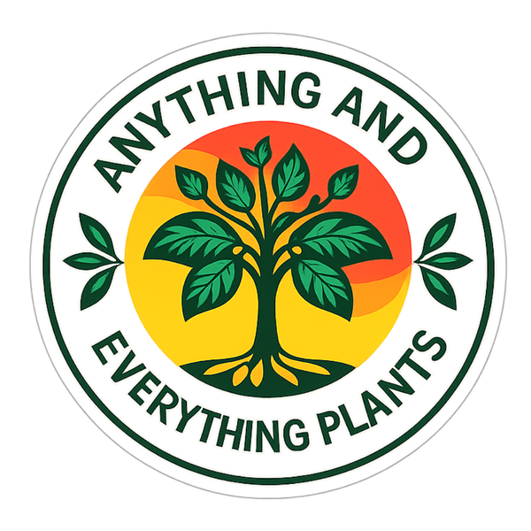 Anything And Everything Plants      