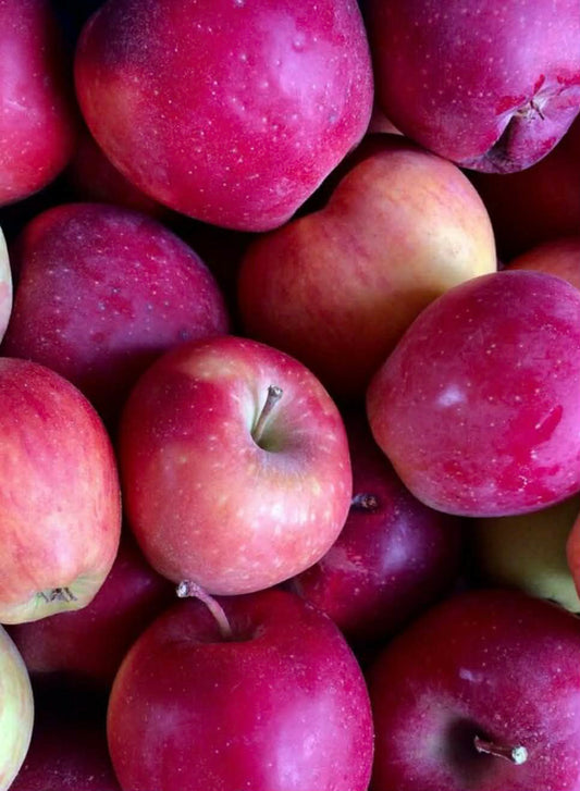 Apple Pink Lady Variety