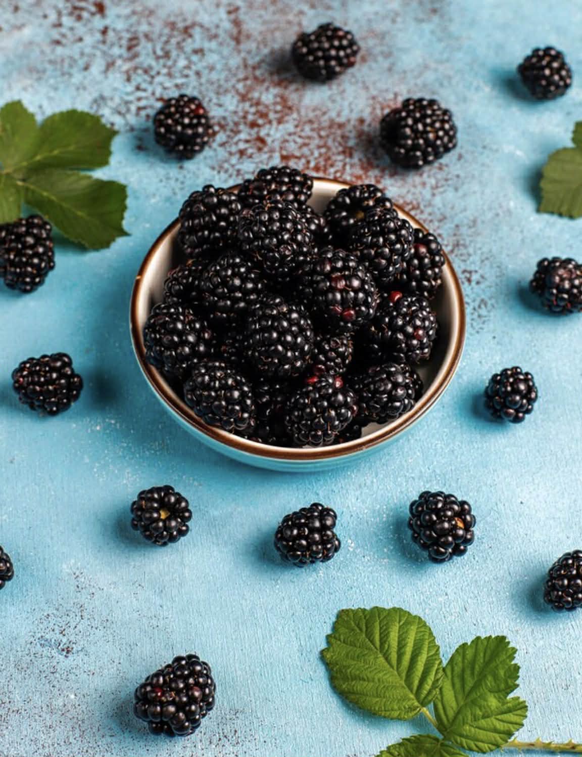 Blackberry Chester Variety