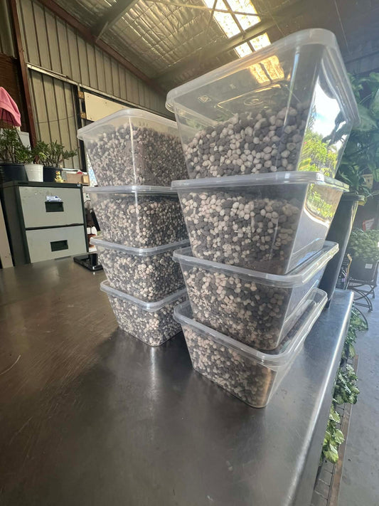 Frangipani Food (Slow Release Fertiliser)