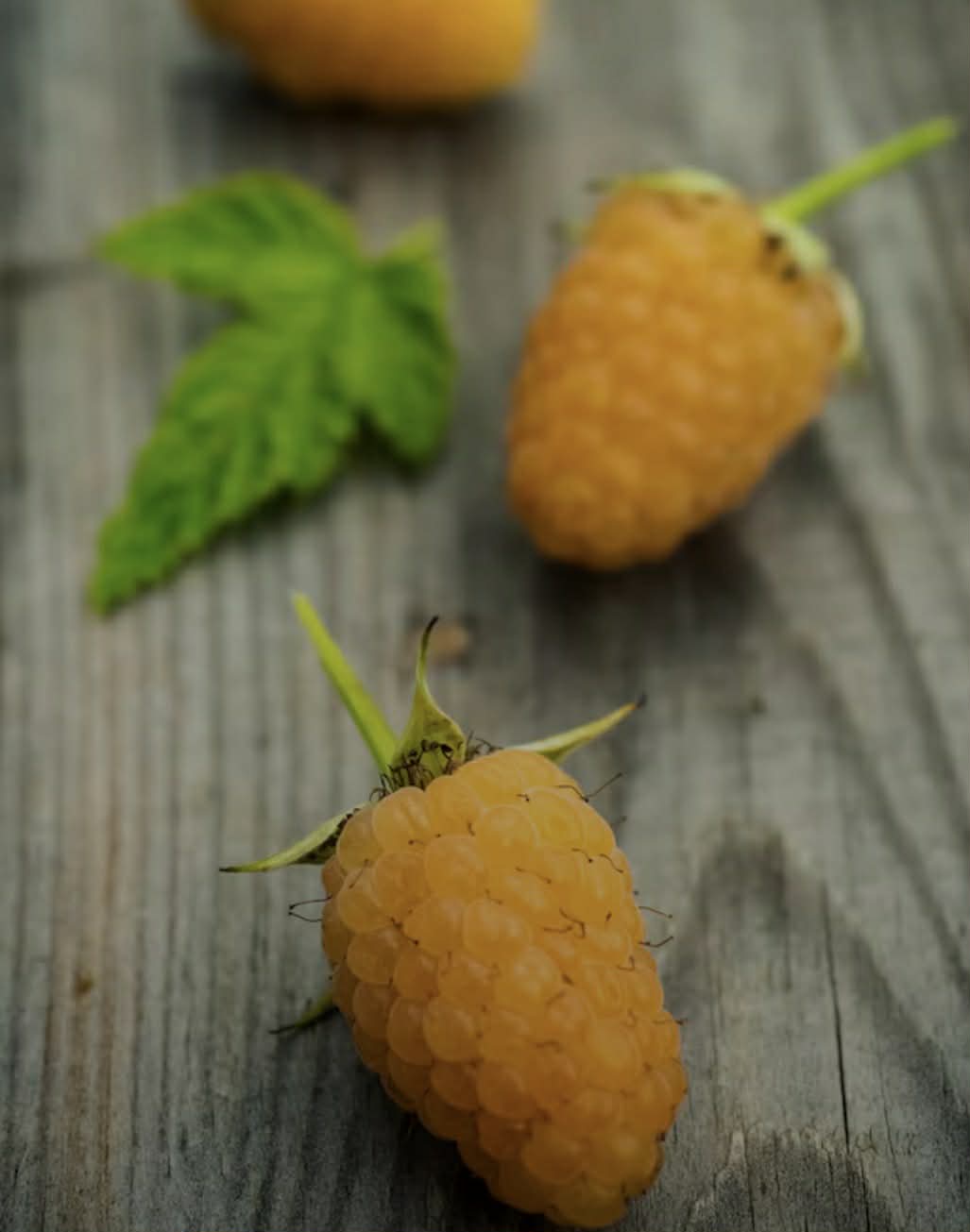 Yellow Raspberry