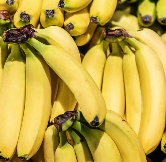 Banana Carnarvon Variety