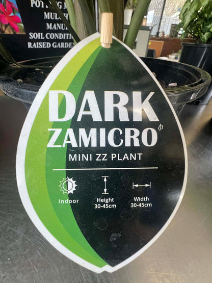 Dark Zamicro Zeze