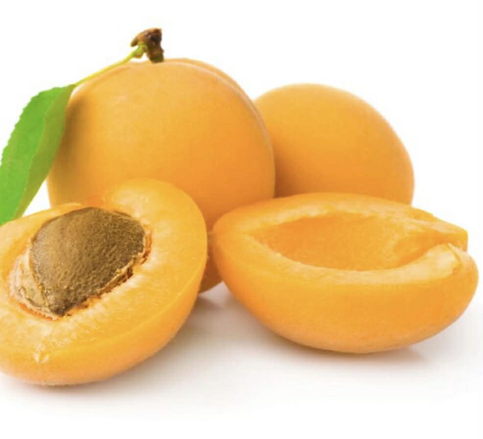 Newcastle Apricot