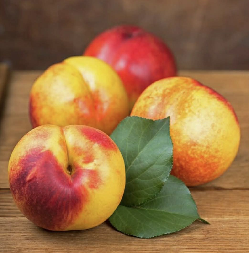 Sun Wright Nectarine