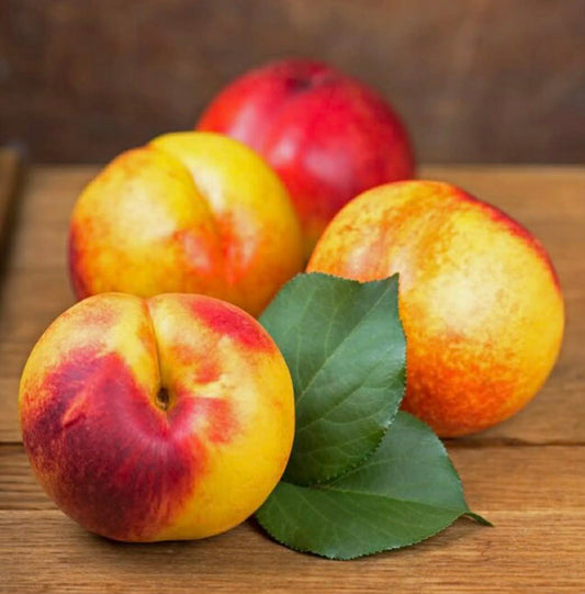 Sun Wright Nectarine