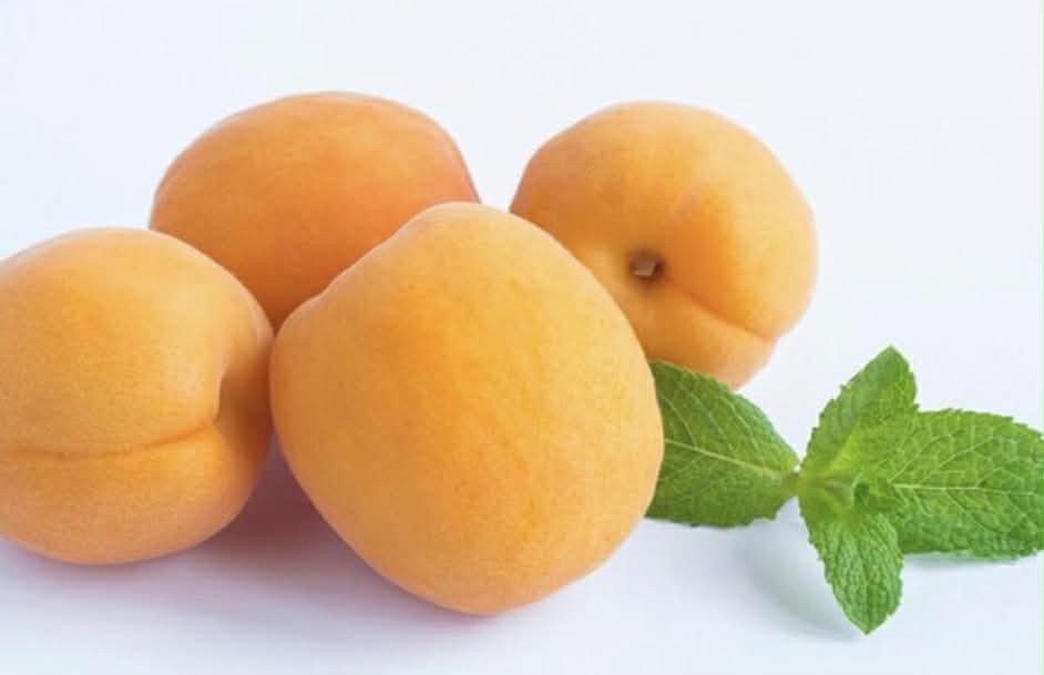 Royal Apricot
