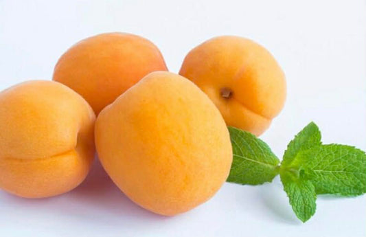 Royal Apricot