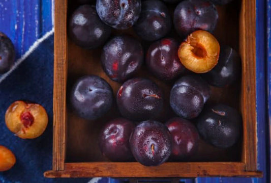 Plum Amber Jewel Variety