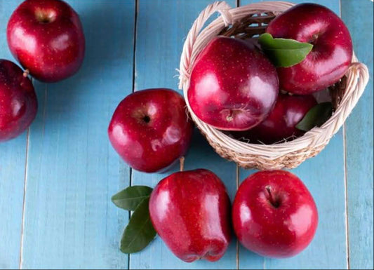 Apple Sundowner Variety