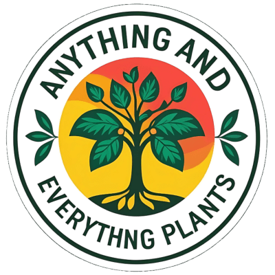Anything Everything Plants